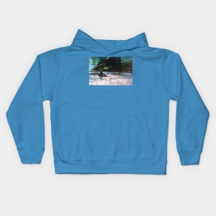 Splish splash Kids Hoodie